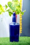 Lusty Soul Decorative Planter Bottle | Flower Vase/Pot for Home Decor, Living Room, Bedroom, Center Table and Office Decoration | Luster Glass Bottle Money Plant Vase (Blue)