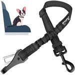 Dog Car Harnesses