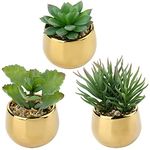 DILATATA Small Artificial Succulents in Pots Set of 3 Realistic Faux Succulents Plants with Gold Ceramic Pots Cute Mini Fake Plants Decor for Modern Home Table Office Desk Bathroom Shelf Decoration