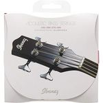 Ibanez 80/20 Bronze Coated String for Ibanez Acoustic Bass IABS4C