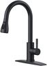 FORIOUS Black Kitchen Faucet with Pull Down Sprayer, High Arc Single Handle Classic Stainless Steel Sink Faucet 1 or 3 Hole, Suitable for Farmhouse Camper Laundry Rv Bar