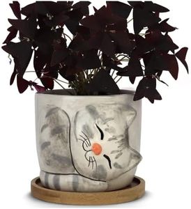 Window Garden Animal Planters - Large Kitty Pot (Barney) Purrfect for Indoor Live House Plants, Succulents, Flowers and Herbs, Super Cute Planter Gift for Cat Lovers, Christmas, Cat