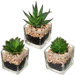 Briful Artificial Succulents Fake Succulent Plants Potted in Mini Square Clear Glass Pots Set of 3 Faux Succulents Small Artificial Succulent Plants Great for Office Home Decor