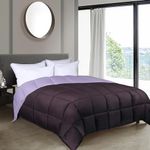 Grand Down All-Season Down Alternative Twin/Twin XL Reversible Comforter, Plum/Lilac