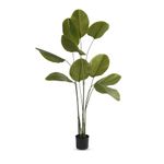 Kuber Industries Arrowroot Artificial Tree | Artificial Silk Palm Tree | 180 CM Fake Tropical Palm Tree with leaves | Faux Plants with Pot | Plastic | FH-ZY180 | Green