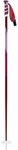 Swix Womens Techlite Pro Alpine Ski Poles 100