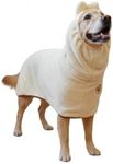 DERPYCHAPPY Premium Dog Towel Robe & Dog Bathrobe for Drying Dogs Made in Korea | Super Absorbent Quick & Adjustable Microfiber Bath Towel for Cats & Puppy Robes After Bath | Soft Warm Drying Coat