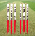 Optimus® Cricket Wooden Stumps Wickets Full Size (Eucalyptus Heavy Wood) Set of 6 with 4 Bails - Multicolor