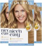 Clairol Nice'n Easy Permanent Hair 