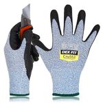 DEX FIT Level 5 Cut Resistant Gloves Cru553, 3D Comfort Stretch Fit, Power Grip, Durable Foam Nitrile, Smart Touch, Machine Washable, Thin & Lightweight, Blue 8 (M) 1 Pair