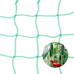 AMZ Sports Nets Heavy-Duty Nylon Garden Plant Creeper Netting | Plant Support Netting | Garden Netting with Square Mesh for Climbing Plants, Vegetables, Fruits, and Flowers | (10X25)