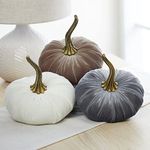 Set of 3 Velvet pumpkins 6.25 Inch, best seller fall decor, autumn cozy vibe, elegant gift set for friend, Thanksgiving tablescape, shelf sitter for bookcase, hygge home (Gray, Taupe, Ivory)