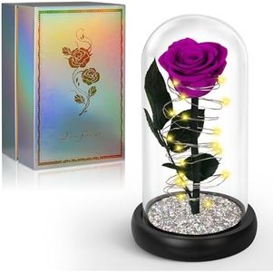 Mothers Day Rose Gifts for Mom from Daughter Son,Birthday Gifts for Women,Light Up Rose in A Glass Dome with Sparkling Base,Preserved Purple Mothers Day Flowers Gifts for Mom Wife Grandma Anniversary