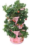 5-Tier Strawberry and Herb Garden Planter - Stackable Gardening Pots with 10 inch Saucer