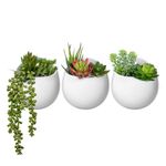 Mkono Wall Planter with Artificial Plants, Decorative Potted Fake Succulents Picks Assorted Faux Succulent in Modern Ceramic Hanging Plant Pot Vase for Home Decor, Set of 3