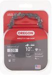 Oregon S39 AdvanceCut Replacement Chainsaw and Pole Saw Chain for 10-Inch Guide Bars, 39 Drive Links, Pitch: 3/8", .050" Gauge, Fits Atlas, Makita, Poulan, and More