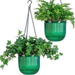 Josteve 6.5 Inch 2 Pcs Self Watering Hanging Planter Indoor Plant Hanging Pots with Drainage Holes, Outdoor Hanging Planters Flower Pot Basket, Visible Water Level, Plant Hanger Home Decor, Gardening