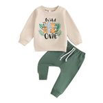 HodJIU Baby Boy 1st First Birthday Outfit Clothes Set Animal Letter Print Long Sleeve Sweatshirt Trousers One Year Old Cake Smash Outfits (Green Jungle Safari Theme, 12-18 Months)