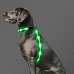 PZRLit LED Light Up Dog Vest Harnes