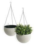 Algreen Products Self Watering Wicker Hanging Planter (2 Pack), 10" D X 14", White - 14427