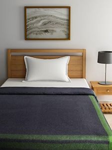 Raymond Home Wool & Wool Blend Green Single Blanket