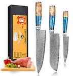 oFuun Kitchen Knife Set, 3 pcs Professional Chef Knife Set-Sharp 8" Chef Knife & 8" Santoku Knife & 5" Utility Knife, Japanese VG-10 Damascus Steel Cooking Knives Set with Gift Box