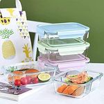 Food Storage Container-1040Ml Each|Air-Tight Fridge Organizer Case|Glass Box With Bpa-Free Locking Lids|Microwave&Freezer Safe|Leak Proof Food Storage Meal Prep Containers (Set Of 3),Transparent