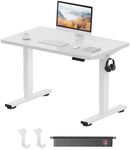 FLEXISPOT ONE PIECE Electric Standi