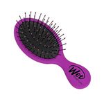 Wet Brush Squirt Detangler Hair Brush with Soft IntelliFlex Bristles, Mini Travel Detangler - (Voilet)