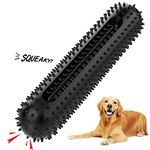 PETIZER Dog Squeaky Toys for Aggressive Chewers | Tough Toothbrush Dog Chew Toy | Nearly Indestructible Rubber Toys for Pet Training, Teeth Cleaning, Playing and Chewing for Medium & Large Breeds, Black