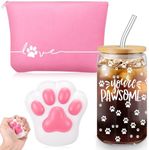 Sliner 3pcs Positive Vet Tech Gifts Emotional Support Employee Appreciation Gifts Inspirational 16 oz Glass Cups with Lid Makeup Bag Stress Toy Funny Thank You Gifts for Coworker Teacher Students