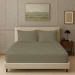 Trance Home Linen 300 TC Bamboo Fitted Bedsheet | Soft, Breathable & Eco-Friendly Bedsheet with 2 Pillow Cover - (78 x 78 inch, Mocha)