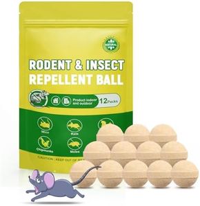 Rodents an