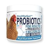 Equa Holistics HealthyGut Probiotic