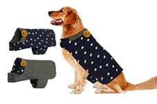 Dog  Jacket