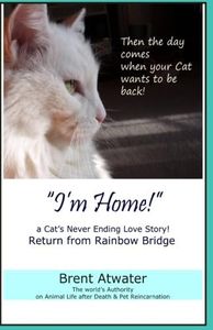 "I'm Home!" a Cat's Never Ending Love Story: Pets Past Lives, Animal Reincarnation, Animal Communication, Animals Soul Contracts, Animals Afterlife & Animals Spirits