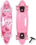 Nattork 23.5 Inch Mini Cruiser Girls Skateboard with Portable Handle Classic Retro Plastic Complete Kids Skateboard for Boys Youths Beginners (Pink Castle)