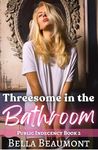 Threesome in the Bathroom (Public Indecency Book 2)