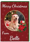 AK Giftshop Personalised Pet Photo Christmas Card From The Dog Cat Animals