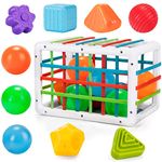 LZDMY Baby Toys for 9 Months Plus, Toddler Sensory Toy Shape Sorting Bin, Montessori Educational Toys for 1 Year Old Girls Boys, Baby Blocks Toys 12 PCS, 1st Birthday for Babies (Classic Edition)