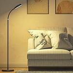 IPARTS EXPERT Smart Floor Lamp, Rec