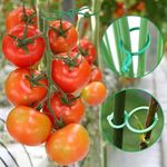 Hysagtek 200 Pcs Secured Plant Clip Garden Plant Clips for Climbing Plants Outdoor Plant Support Clips Tomato Clips Twisty Plant Rings for Securing Plants