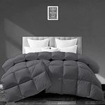 Filbert - All Season 250 GSM Comforter Super Soft Fluffy Comforter (92" x 106" Inches/233cm x 269cm) - King Size Comforter|Dark Grey