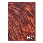 Navneet HQ | Login Notebook|Wood finish designs|Case Bound/Hard Cover Notebook | A5 Size - 21 cm x 14.8 cm | Single Line | 192 Pages | Pack of 1