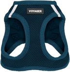 Voyager Step-in Air Dog Harness - A