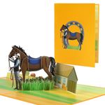 CNLITIHEKA Horse Birthday Card, Equestrian Sports Pop Up Card, 3D Horse Lover Card, Equestrian Gift Card for Son, Dad, Husband, Friends, All Occasion.