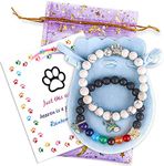 PSZEZNZ Pet Dog Cat Memorial Gifts Rainbow Bridge Bracelet for Beloved , Loss Sympathy Jewelry Gift Bracelets ,personalized memorial gifts