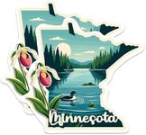 (2 Pack) Minnesota State Shape Stickers - MN State Sticker - Choose from 50 States - 5 Inches On Longest Side - Premium Vinyl - for Cars, Skateboards, Laptops - Made in USA - BMCS1259