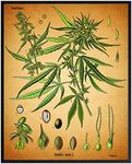 Marijuana Decor - 8x10 Vintage Bota