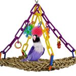 Super Bird Creations Mini Flying Trapeze Toy for Birds